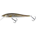 Westin Jerkbite SR 7,5cm 5g Suspending Brown Trout Fry