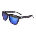 Zeck Polarized Classic Glasses I Ice Blue