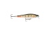 Rapala BX Minnow 7cm Redfin Perch