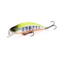 Duo Spearhead Ryuki Awabi 50S Chart Yamame Awabi