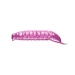 Libra Lures Goliath 30 Käse 018 pink pearl