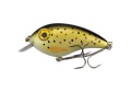 Seika Pro Pikebomb 10cm Trout