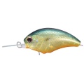 O.S.P Tiny Blitz MR H03 American Sunfish JDM Color