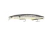 Seika%20Pro%20Nightveit%20Junior%2012%2C5cm%20White%20Fish