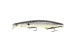 Seika Pro Nightveit Junior 12,5cm White Fish