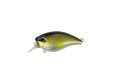 DUO Realis Mid Roller 40F GA Ayu