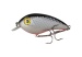 Seika Pro Pikebomb 10cm White Fish