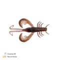 Zeck Edward | 6 cm Cinnamon BF