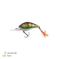 Zeck Danny 5,5 cm | 2,5 m F Glam Perch BA