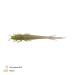 Zeck%20Barsch-Alarm%20Shaky%20Sneaker%20%7C%208%20cm%20Vio%20Greenie%20DLX