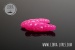 Libra Lures LARGO 35 Exotic 019 hot pink