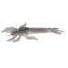 Nays%20DRGN%2030%20C-28