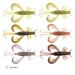 Zeck%20Edward%20%7C%206%20cm%20Color%20Mix%201