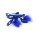 DUO%20POKEMON%20FISHING%20KYOGRE
