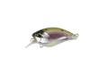 DUO Realis Mid Roller 40F Komochi Wakasagi